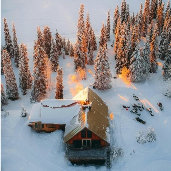 Tory Burch Handbags - Posh Show Listing!